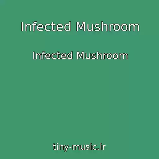 کاور آهنگ Infected Mushroom از Infected Mushroom