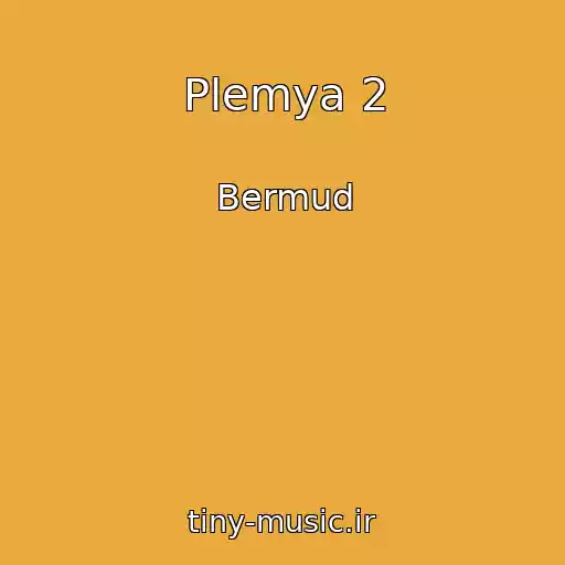 کاور آهنگ Plemya 2 از Bermud