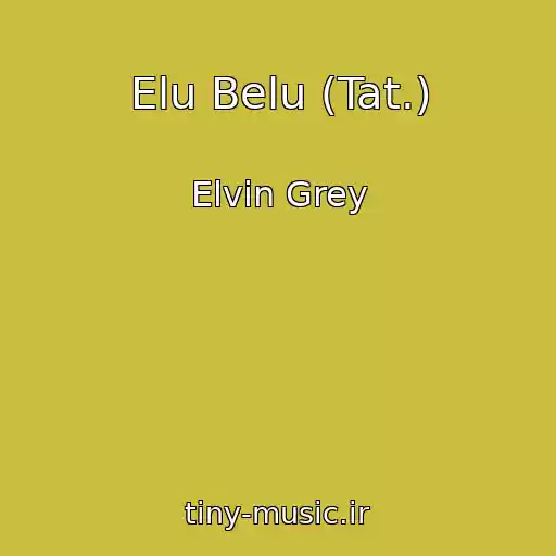 کاور آهنگ Elu Belu (Tat.) از Elvin Grey