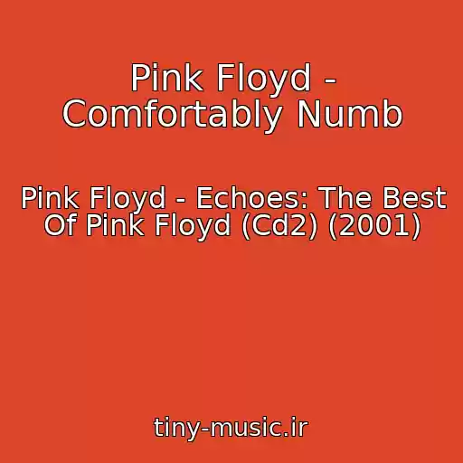 کاور آهنگ Pink Floyd - Comfortably Numb از Pink Floyd - Echoes: The Best Of Pink Floyd (Cd2) (2001)