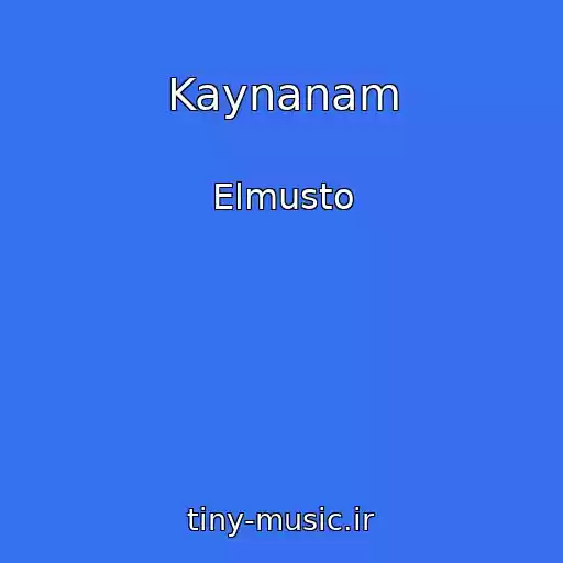 کاور آهنگ Kaynanam از Elmusto
