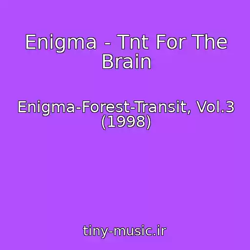 کاور آهنگ Enigma - Tnt For The Brain از Enigma-Forest-Transit, Vol.3 (1998)