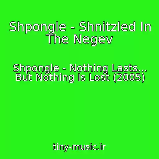 کاور آهنگ Shpongle - Shnitzled In The Negev از Shpongle - Nothing Lasts... But Nothing Is Lost (2005)