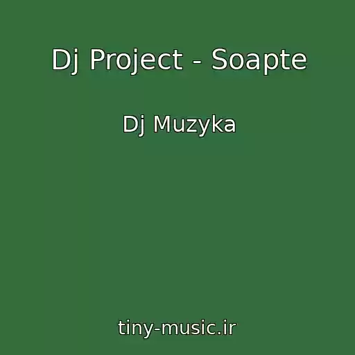کاور آهنگ Dj Project - Soapte از Dj Muzyka