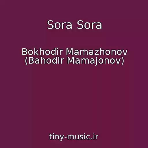 کاور آهنگ Sora Sora از Bokhodir Mamazhonov (Bahodir Mamajonov)