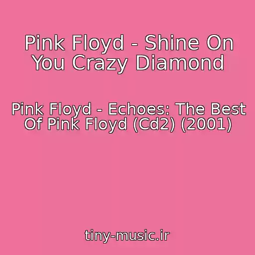 کاور آهنگ Pink Floyd - Shine On You Crazy Diamond از Pink Floyd - Echoes: The Best Of Pink Floyd (Cd2) (2001)