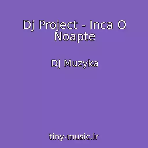 کاور آهنگ Dj Project - Inca O Noapte از Dj Muzyka