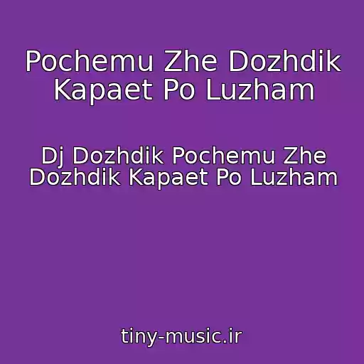 کاور آهنگ Pochemu Zhe Dozhdik Kapaet Po Luzham از Dj Dozhdik Pochemu Zhe Dozhdik Kapaet Po Luzham