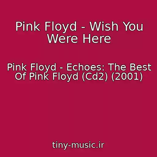 کاور آهنگ Pink Floyd - Wish You Were Here از Pink Floyd - Echoes: The Best Of Pink Floyd (Cd2) (2001)