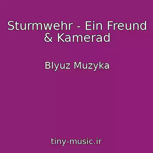 کاور آهنگ Sturmwehr - Ein Freund & Kamerad از Blyuz Muzyka
