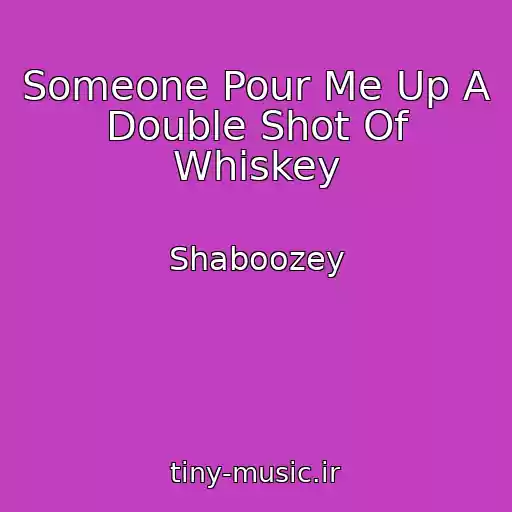 کاور آهنگ Someone Pour Me Up A Double Shot Of Whiskey از Shaboozey