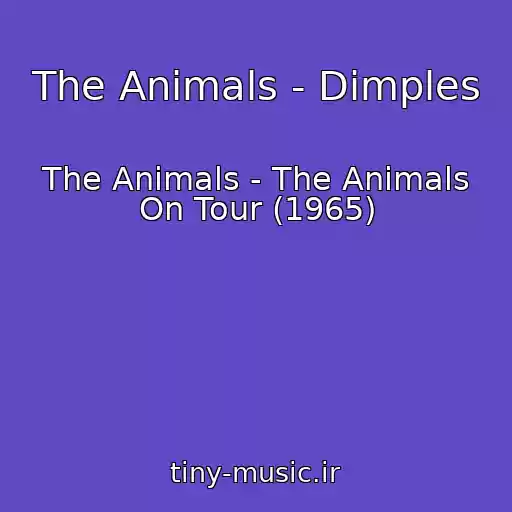 کاور آهنگ The Animals - Dimples از The Animals - The Animals On Tour (1965)