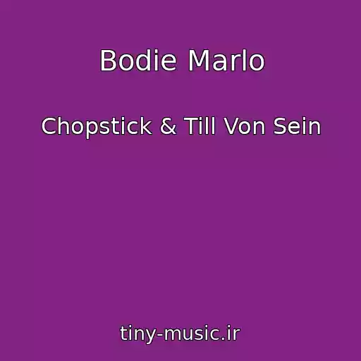 کاور آهنگ Bodie Marlo از Chopstick & Till Von Sein