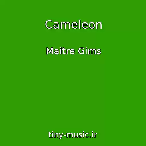 کاور آهنگ Cameleon از Maitre Gims