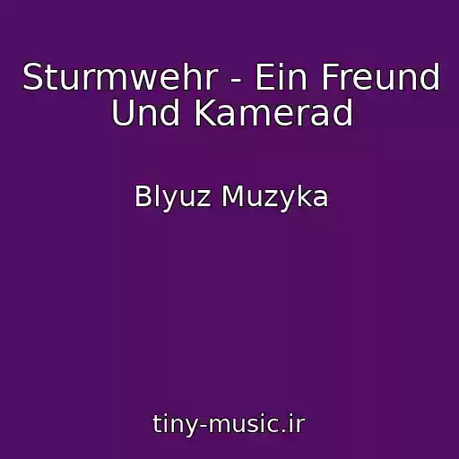 کاور آهنگ Sturmwehr - Ein Freund Und Kamerad از Blyuz Muzyka