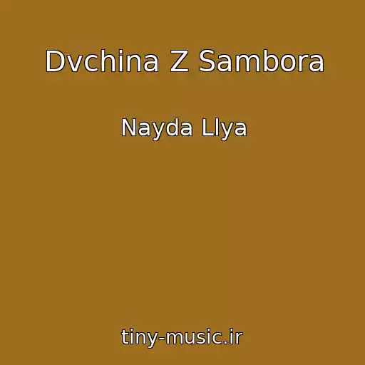 کاور آهنگ Dvchina Z Sambora از Nayda Llya