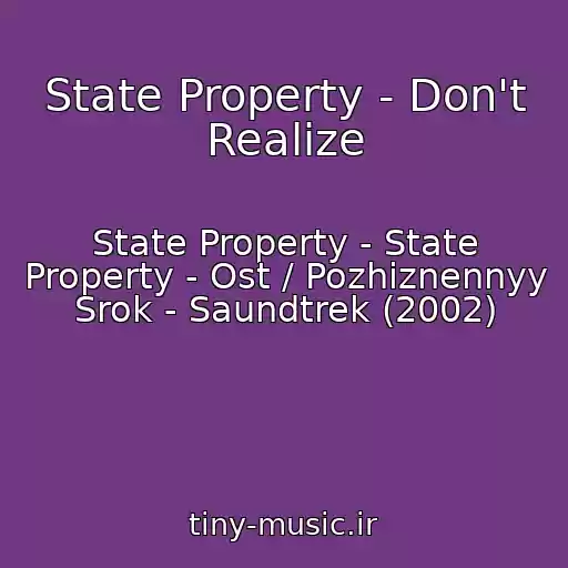 کاور آهنگ State Property - Don't Realize از State Property - State Property - Ost / Pozhiznennyy Srok - Saundtrek (2002)