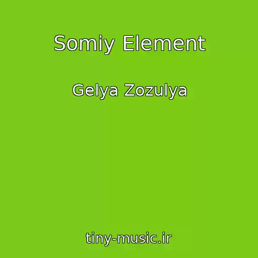 کاور آهنگ Somiy Element از Gelya Zozulya