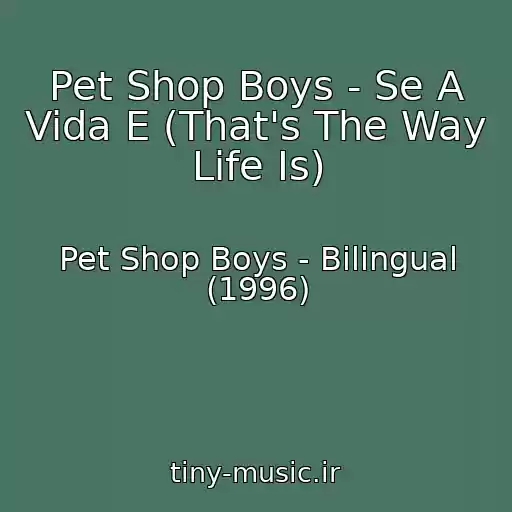 کاور آهنگ Pet Shop Boys - Se A Vida E (That's The Way Life Is) از Pet Shop Boys - Bilingual (1996)