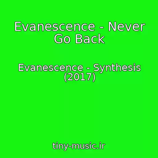 کاور آهنگ Evanescence - Never Go Back از Evanescence - Synthesis (2017)