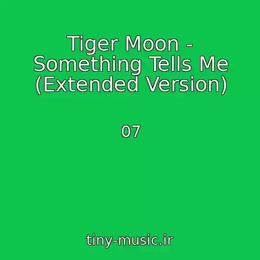 کاور آهنگ Tiger Moon - Something Tells Me (Extended Version) از 07