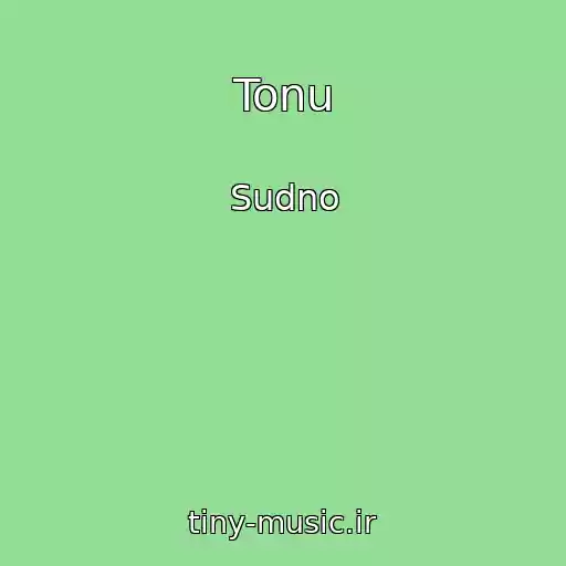 کاور آهنگ Tonu از Sudno