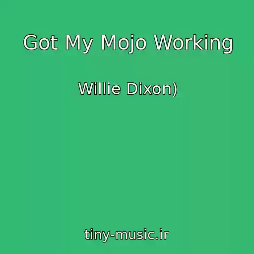 کاور آهنگ Got My Mojo Working از Willie Dixon)