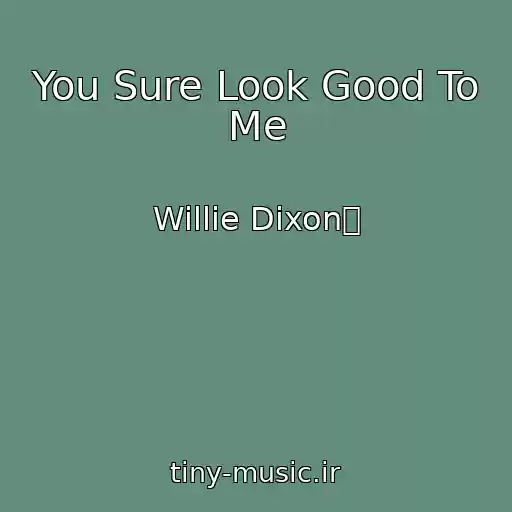 کاور آهنگ You Sure Look Good To Me از Willie Dixon椀