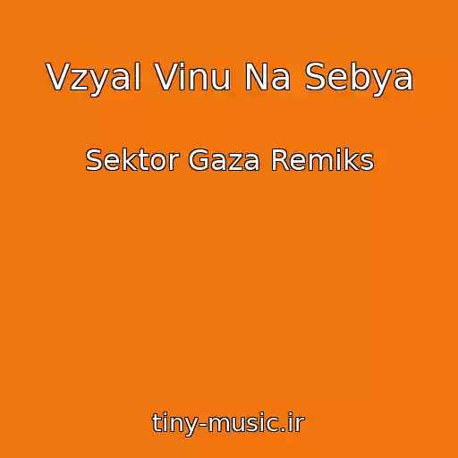 کاور آهنگ Vzyal Vinu Na Sebya از Sektor Gaza Remiks