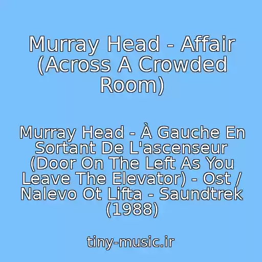 کاور آهنگ Murray Head - Affair (Across A Crowded Room) از Murray Head - À Gauche En Sortant De L'ascenseur (Door On The Left As You Leave The Elevator) - Ost / Nalevo Ot Lifta - Saundtrek (1988)