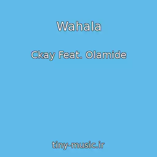 کاور آهنگ Wahala از Ckay Feat. Olamide