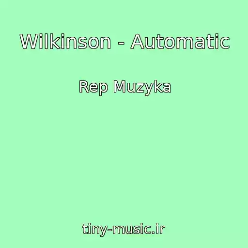 کاور آهنگ Wilkinson - Automatic از Rep Muzyka