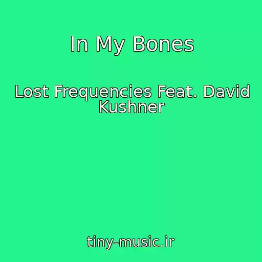 کاور آهنگ In My Bones از Lost Frequencies Feat. David Kushner