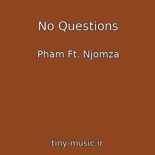 کاور آهنگ No Questions از Pham Ft. Njomza