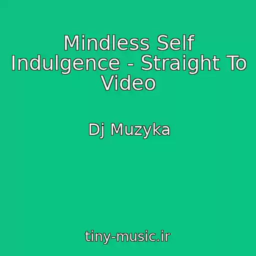 کاور آهنگ Mindless Self Indulgence - Straight To Video از Dj Muzyka
