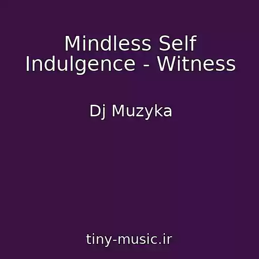 کاور آهنگ Mindless Self Indulgence - Witness از Dj Muzyka