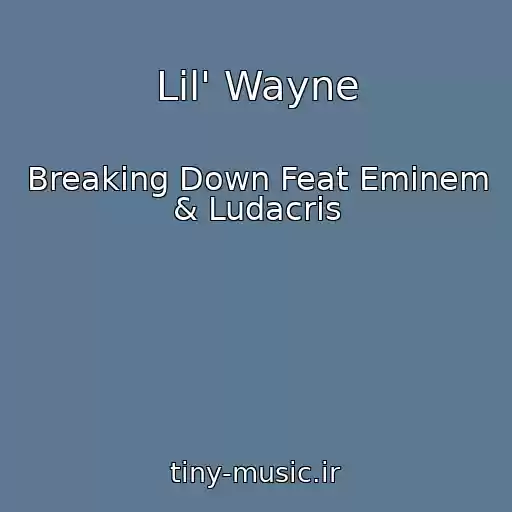 کاور آهنگ Lil' Wayne از Breaking Down Feat Eminem & Ludacris