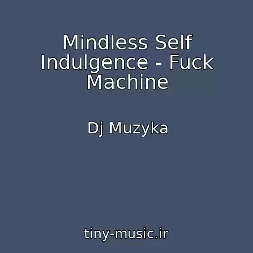 کاور آهنگ Mindless Self Indulgence - Fuck Machine از Dj Muzyka