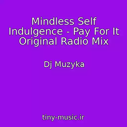 کاور آهنگ Mindless Self Indulgence - Pay For It Original Radio Mix از Dj Muzyka