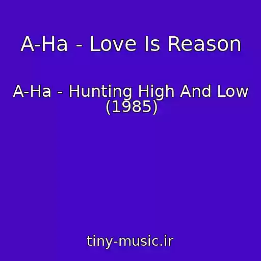 کاور آهنگ A-Ha - Love Is Reason از A-Ha - Hunting High And Low (1985)