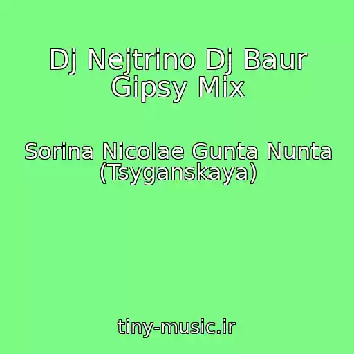 کاور آهنگ Dj Nejtrino Dj Baur Gipsy Mix از Sorina Nicolae Gunta Nunta (Tsyganskaya)