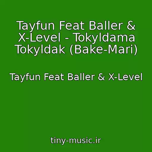 کاور آهنگ Tayfun Feat Baller & X-Level - Tokyldama Tokyldak (Bake-Mari) از Tayfun Feat Baller & X-Level
