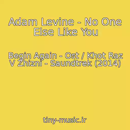 کاور آهنگ Adam Levine - No One Else Like You از Begin Again - Ost / Khot Raz V Zhizni - Saundtrek (2014)