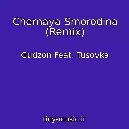 کاور آهنگ Chernaya Smorodina (Remix) از Gudzon Feat. Tusovka