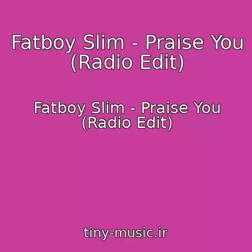 کاور آهنگ Fatboy Slim - Praise You (Radio Edit) از Fatboy Slim - Praise You (Radio Edit)