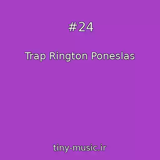 کاور آهنگ #24 از Trap Rington Poneslas