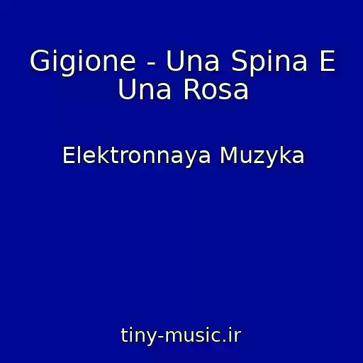 کاور آهنگ Gigione - Una Spina E Una Rosa از Elektronnaya Muzyka
