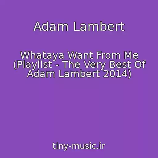 کاور آهنگ Adam Lambert از Whataya Want From Me (Playlist - The Very Best Of Adam Lambert 2014)
