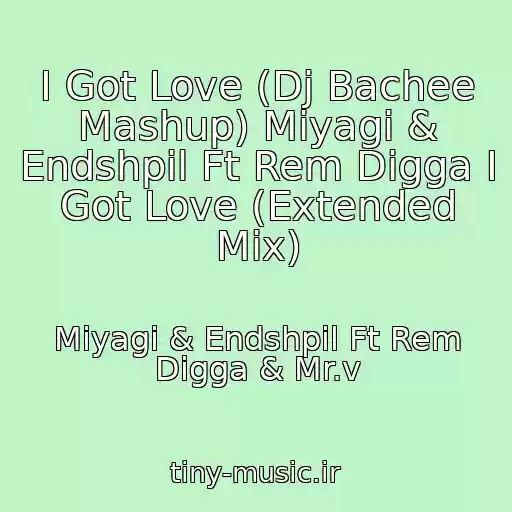 کاور آهنگ I Got Love (Dj Bachee Mashup) Miyagi & Endshpil Ft Rem Digga I Got Love (Extended Mix) از Miyagi & Endshpil Ft Rem Digga & Mr.v