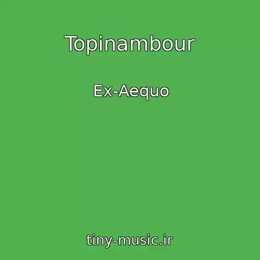 کاور آهنگ Topinambour از Ex-Aequo